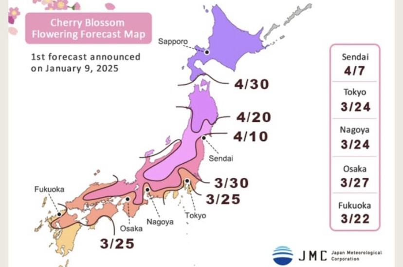 Early Forecast Cherry Blossom Season in Japan 2025