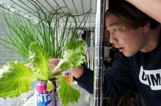 Soaring Food Prices in Japan Consumers Turn to Homegrown Veggies and Budget Friendly Alternatives