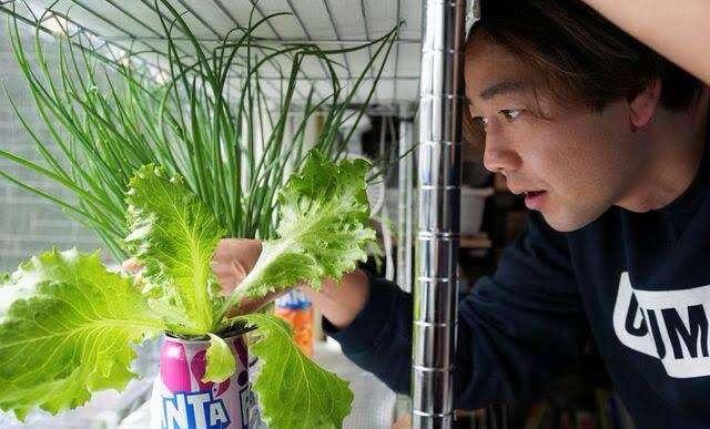 Soaring Food Prices in Japan Consumers Turn to Homegrown Veggies and Budget Friendly Alternatives