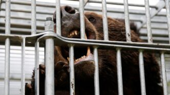 6b50b634 b9a4 429b adde 0e10936cdace