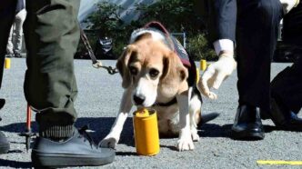 75781afe 9bf6 47bc 9ad5 3bed4b9e22ea