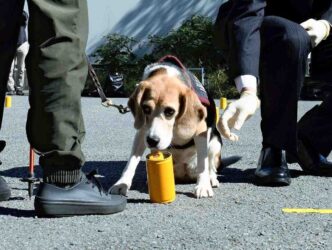 75781afe 9bf6 47bc 9ad5 3bed4b9e22ea