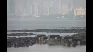 GLOBIS University Japan 2026