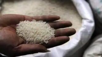Rice Variety to Japan
