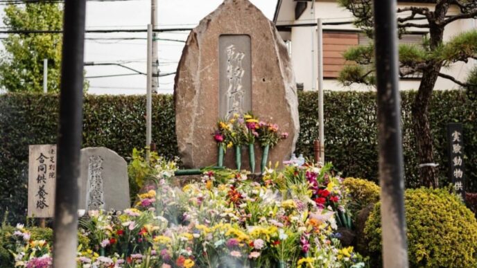 5e6ec8a5 c4cf 4bd9 9f85 967862490364