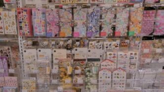 73ccc2ec c9d6 4372 adeb 0b2cbfb9a676