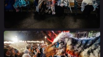 93b65bf1 856c 4e30 8490 3f711224f8d3