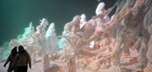 WhatsApp Image 2025 12 06 at 11.43.17 AM