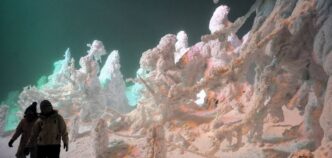 WhatsApp Image 2025 12 06 at 11.43.17 AM