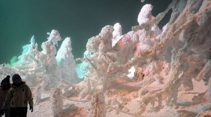 WhatsApp Image 2025 12 06 at 11.43.17 AM