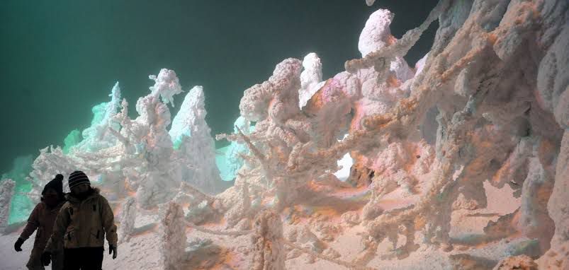 WhatsApp Image 2025 12 06 at 11.43.17 AM