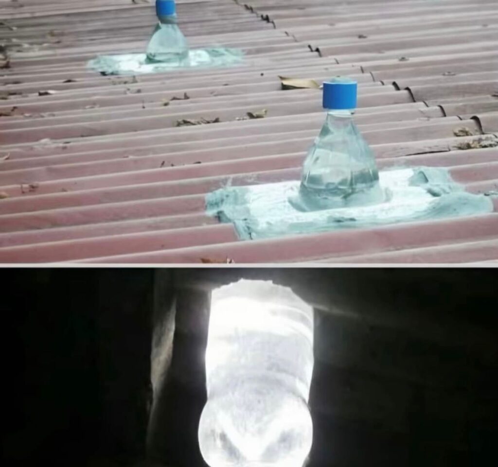 WhatsApp Image 2025 12 07 at 5.54.44 PM