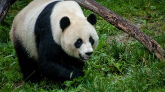 64f96e5d a92e 4588 ab9e 8d2731030e5f