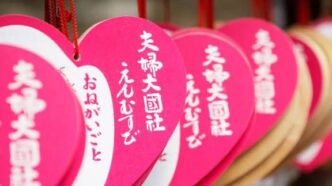 31eb91bf 6242 4d7a bb0b ae51b85c524f