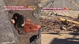 75588af4 d7ad 49e0 bc97 f266d005fa97