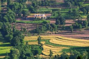 Meghalaya Aims to Bring 1 Lakh Hectares