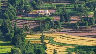 Meghalaya Aims to Bring 1 Lakh Hectares