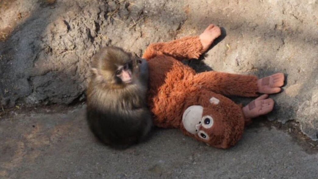 cfdce9f8 cec7 4dbb 9cba 4ff9534ea2dd