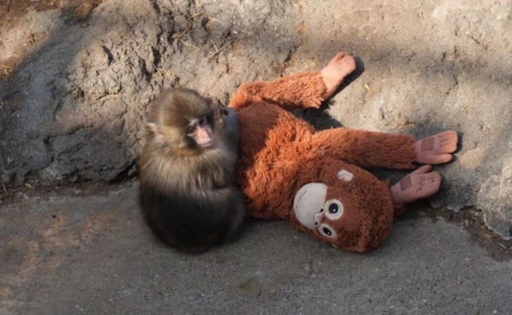 cfdce9f8 cec7 4dbb 9cba 4ff9534ea2dd