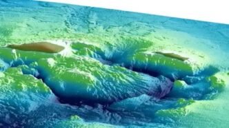 0e261e84 8663 4d98 87d2 9b9a84912f47