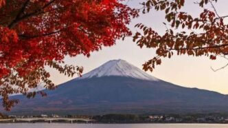 3052a4da 4016 46f2 bbcc a964e21c31f3