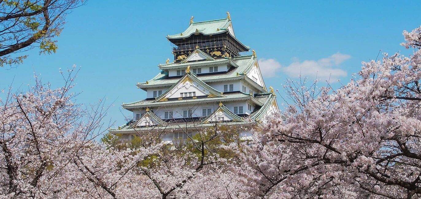 429c1408 5935 4199 8c59 f0e0dacc401b