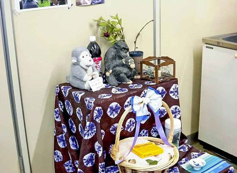 59360508 5266 49d3 b78c 45a9fe99c277