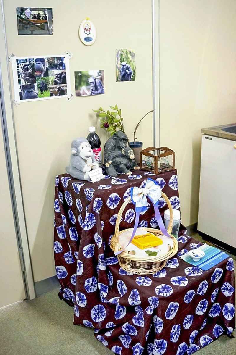 59360508 5266 49d3 b78c 45a9fe99c277