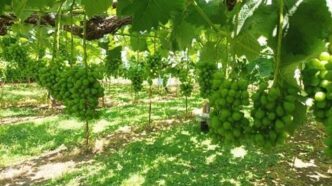 d5951c37 a9e6 491c 944a f7f6af81b34f