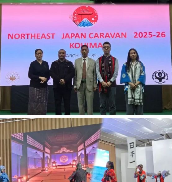 d78448fd 632f 41ad 804e 7258d001246e