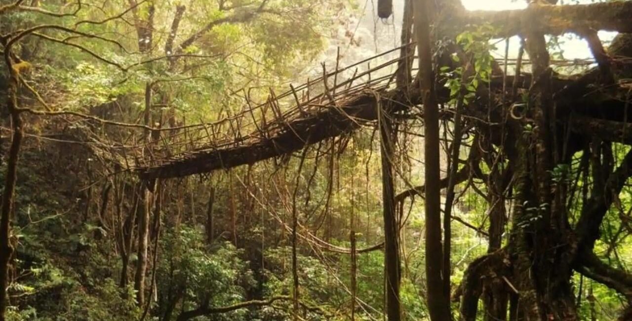 e142427a 7f5c 40eb b269 478944d09afb