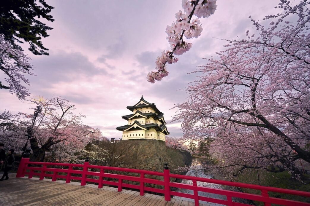 7785551a ed4e 4a38 b05f 1805a32c83f1