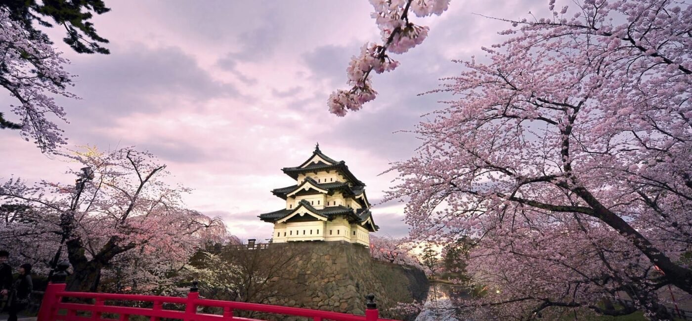 7785551a ed4e 4a38 b05f 1805a32c83f1