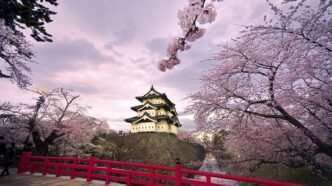 7785551a ed4e 4a38 b05f 1805a32c83f1