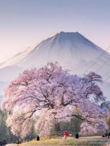 80491b00 0cbc 4c79 a606 bdf049c65250