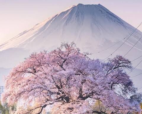 80491b00 0cbc 4c79 a606 bdf049c65250