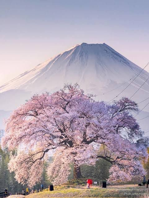 80491b00 0cbc 4c79 a606 bdf049c65250