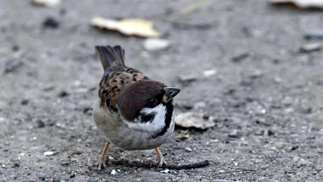 85f1fb27 614d 4080 b00a 3d8125bf7850