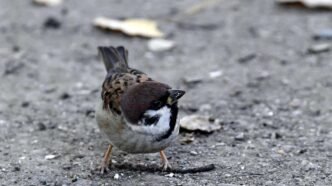 85f1fb27 614d 4080 b00a 3d8125bf7850