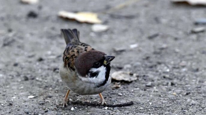 85f1fb27 614d 4080 b00a 3d8125bf7850