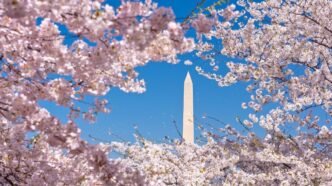 970c08dc e1fb 4b55 a375 8b242b64f6a4