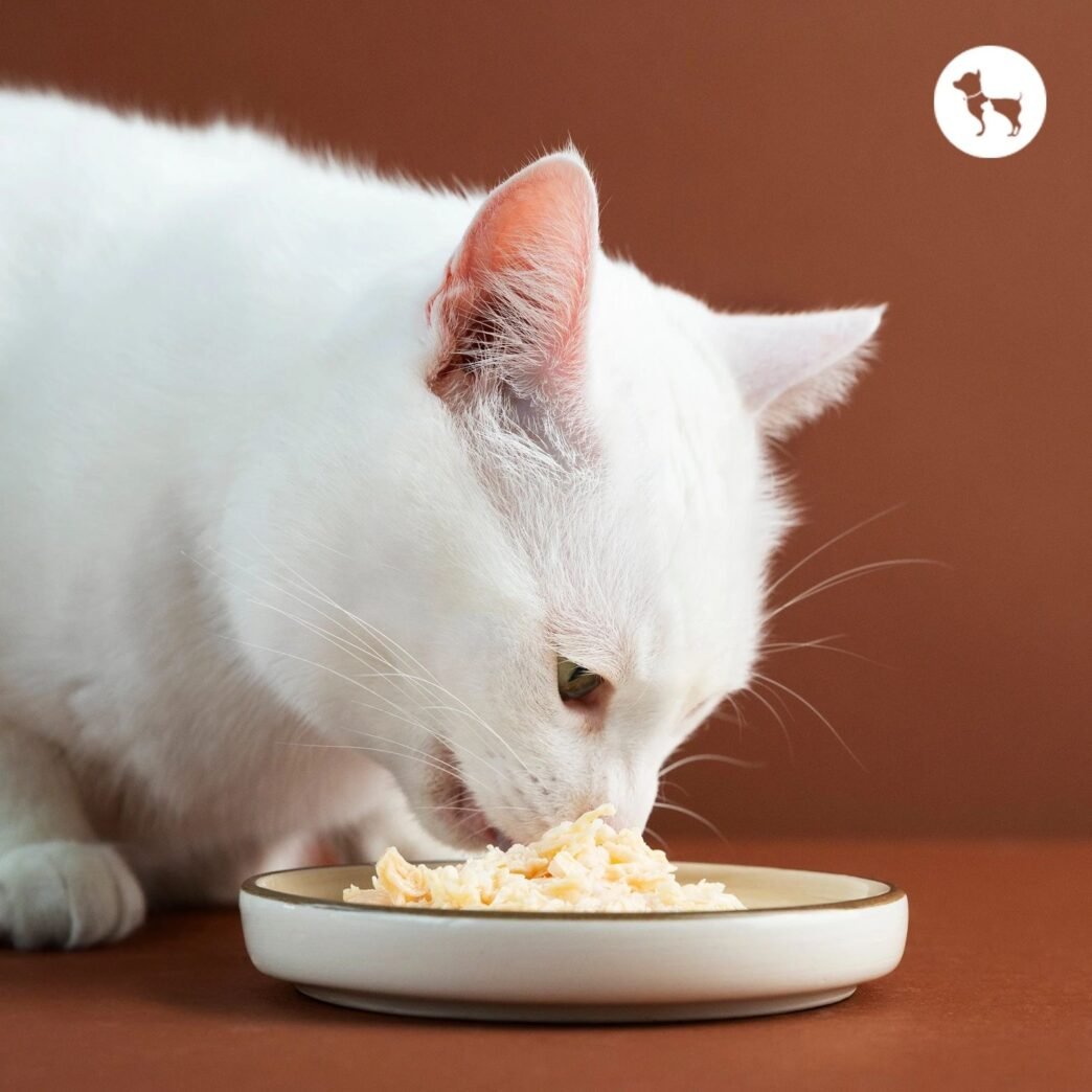 a6f06606 1cde 452e 8c48 8947e2834a23