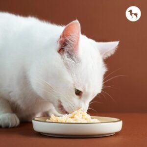 a6f06606 1cde 452e 8c48 8947e2834a23