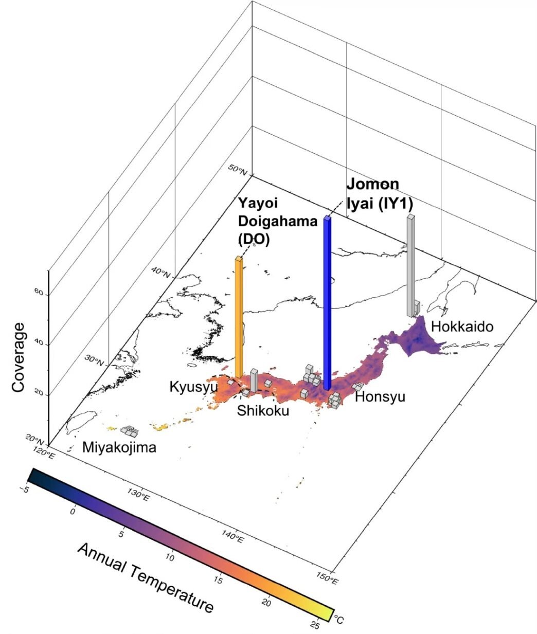 Ancient DNA Study Sheds