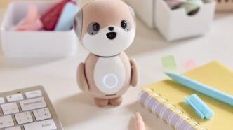 AI Companion